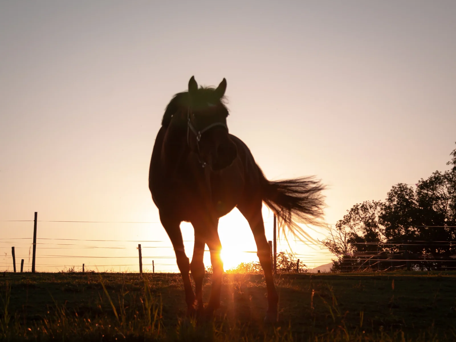 nature photography by JRMGraphy